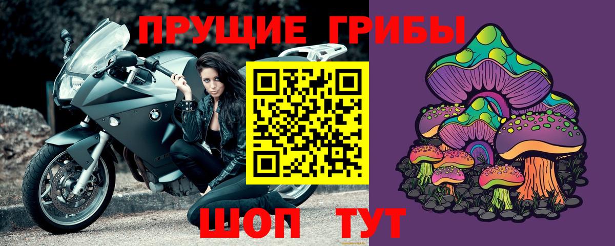 Псилоцибиновые грибы Magic Shrooms  цены   Вход с VPN  Хабаровск  Галлюциногенные грибы прущие грибы 